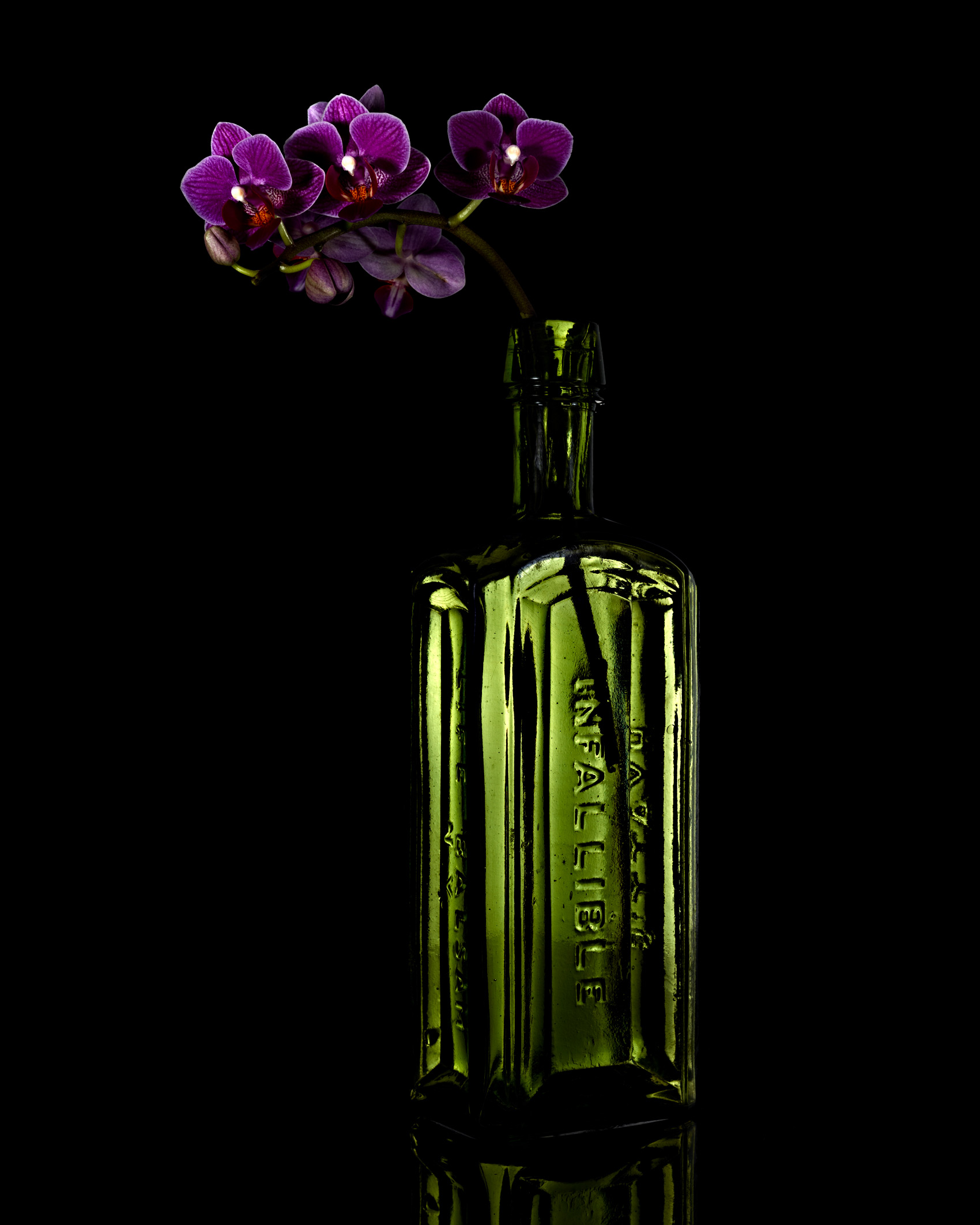 Orchid in a Bottle