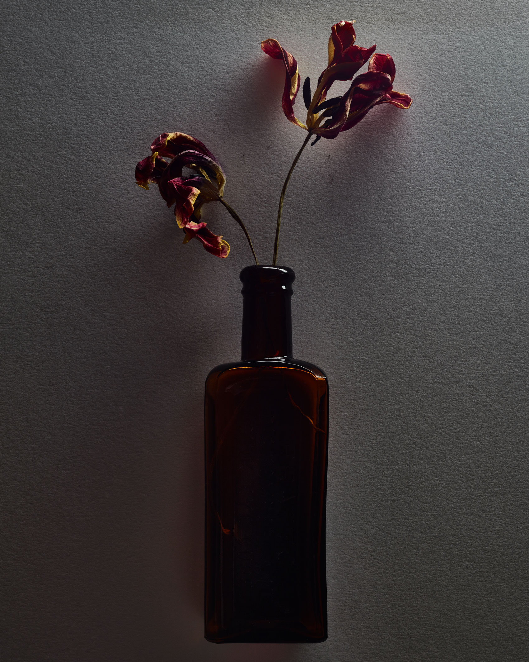 Dried Flowers in a Brown Bottle