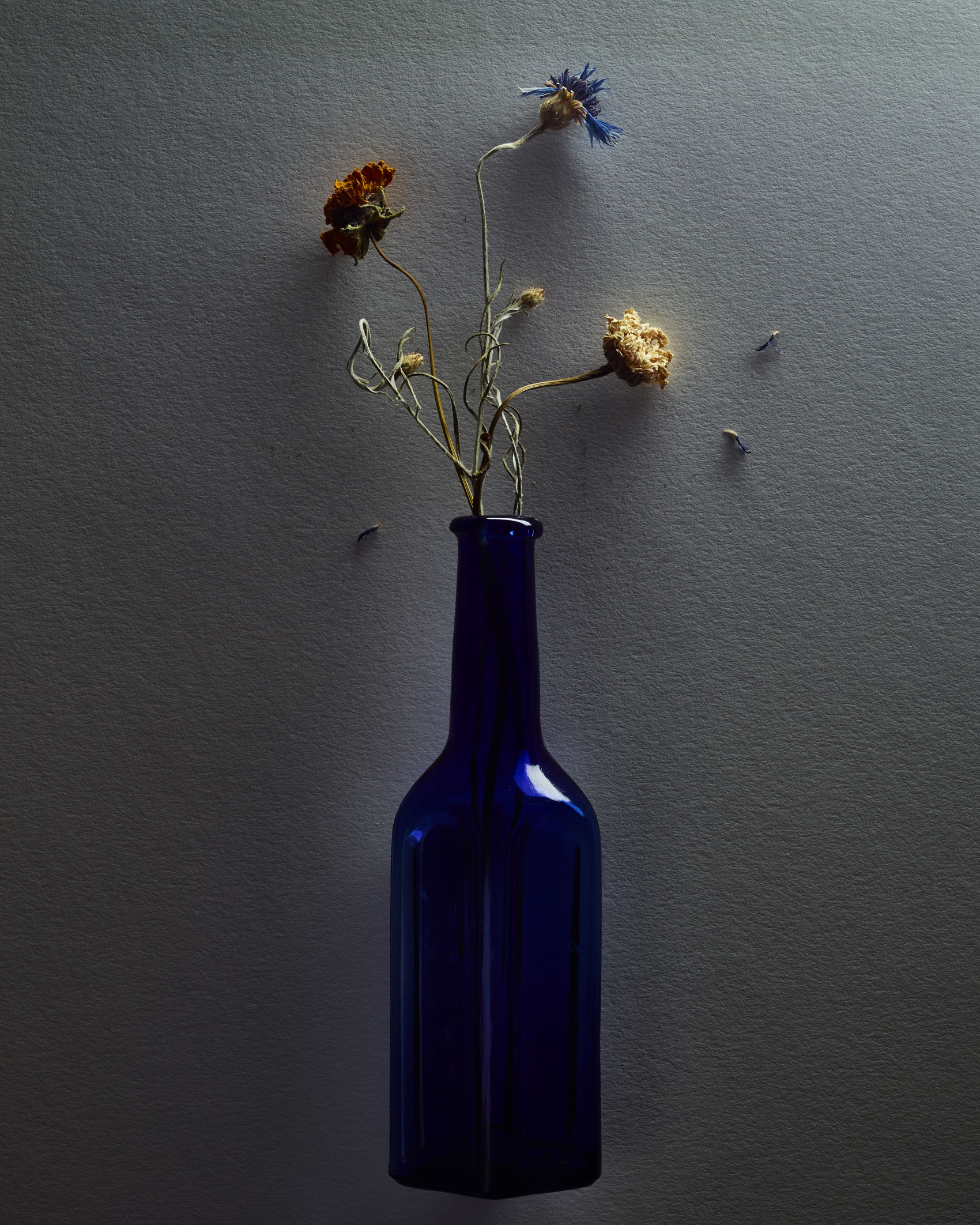 Flowers in  Cobalt Bottles