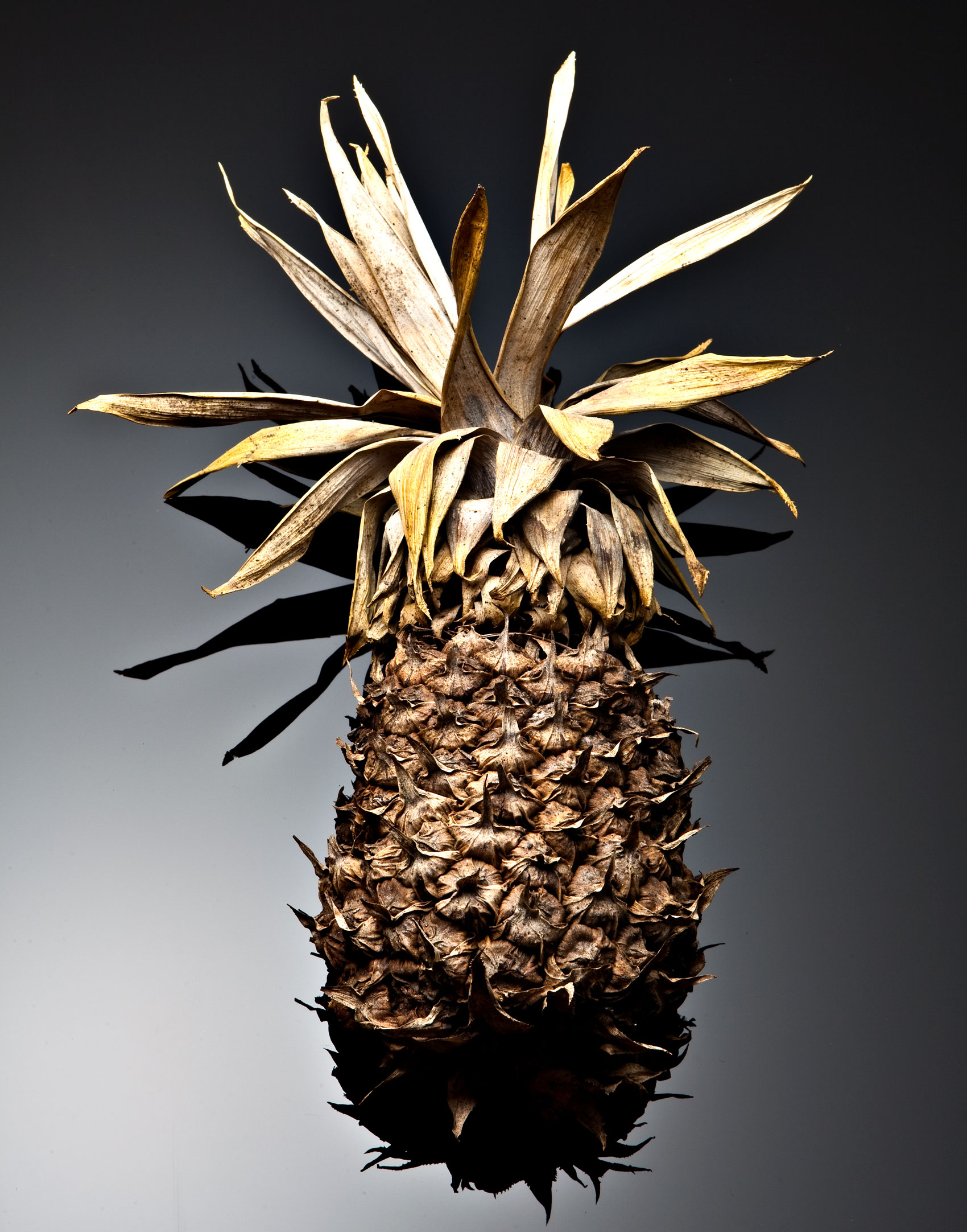 Dried Fruit Pineapple Photography