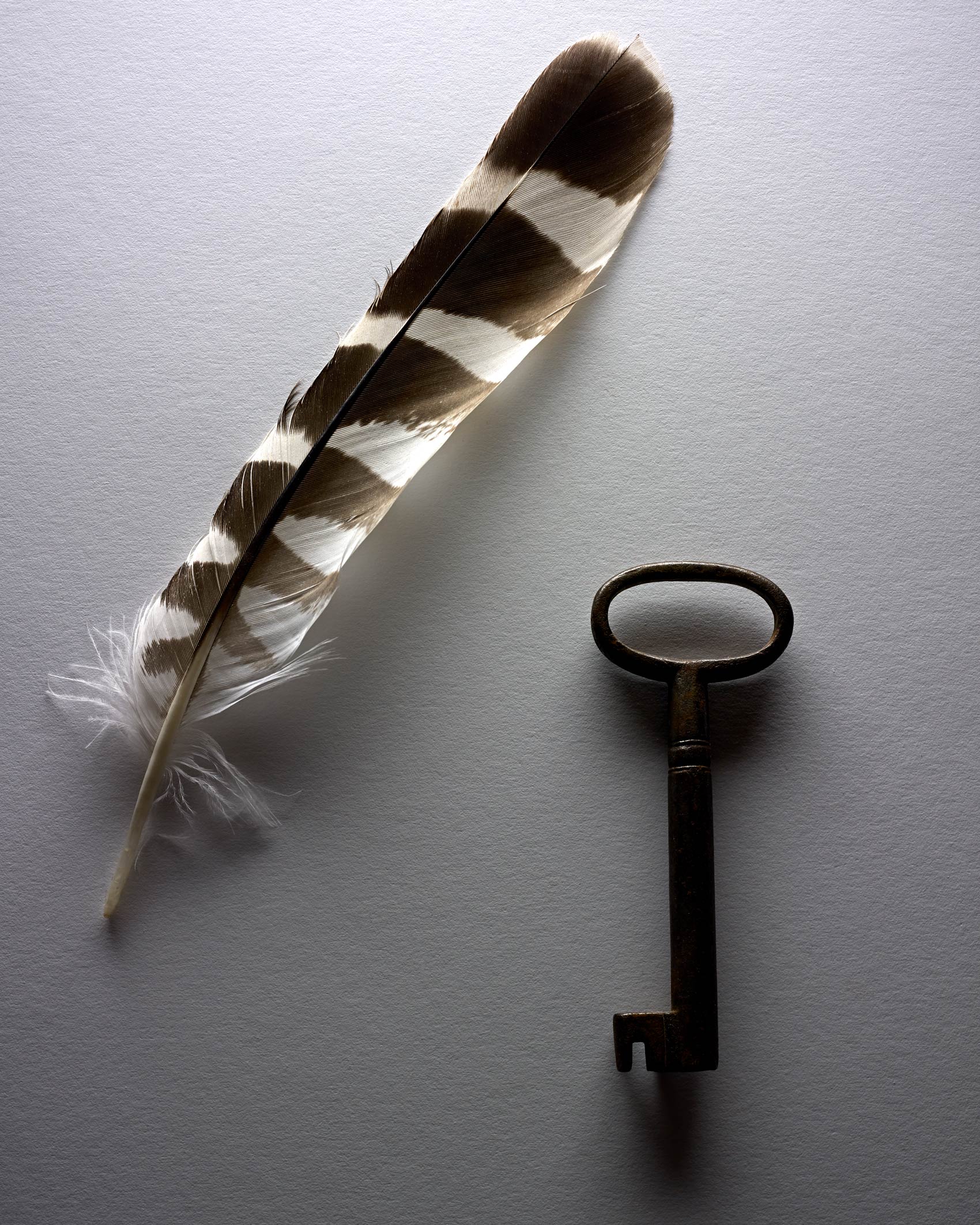 Hawk Feather and Skelton Key