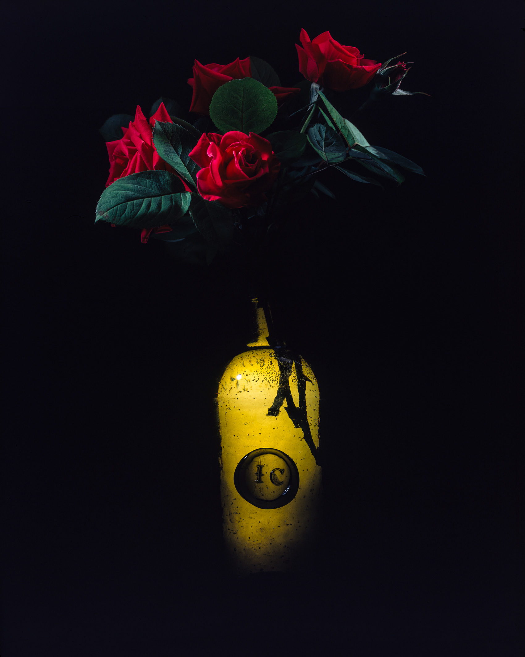 Red Roses in an Old Bottle